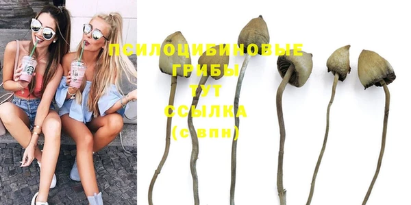 PSILOCYBIN Абинск
