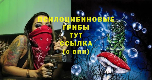 марки lsd Новодвинск