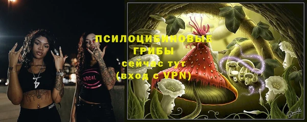СК Абаза