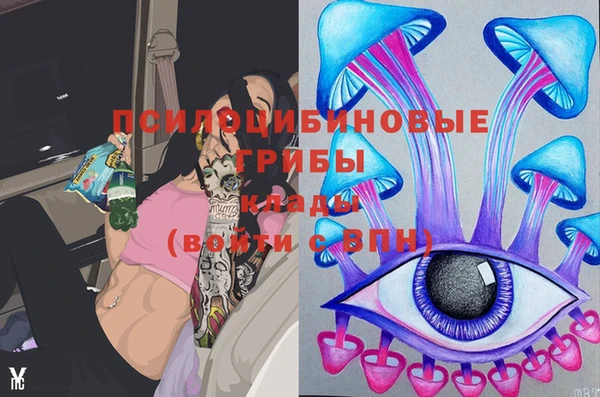 дурь Новокубанск
