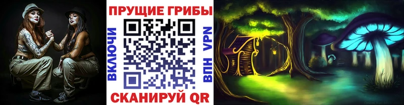 Псилоцибиновые грибы GOLDEN TEACHER  mega ссылка  Александровск-Сахалинский 